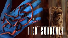 Died-Suddenly