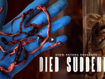 Died-Suddenly