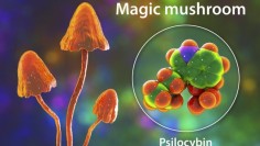 Magic mushrooms and psilocybin molecule, illustration