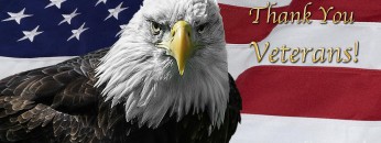 american-bald-eagle-on-flag-for-veterans-day-michael-shake-2796812388