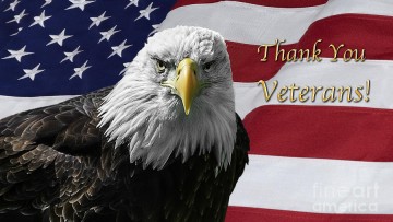 american-bald-eagle-on-flag-for-veterans-day-michael-shake-2796812388