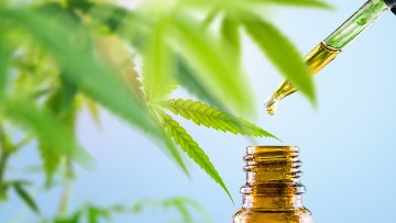 Cannabis CBD oil in eyedroper