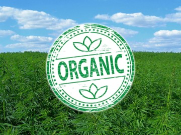 cannabisorganic