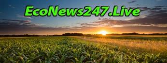 econews247live