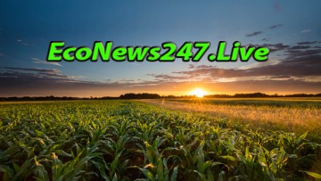 econews247live