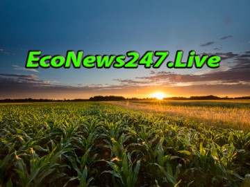 econews247live