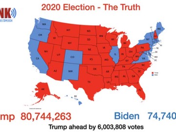 electionfraudmikelindell