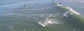 lindamarsurfcam