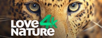 lovenaturetv