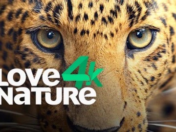 lovenaturetv
