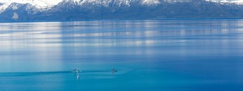 Paddle boarding
