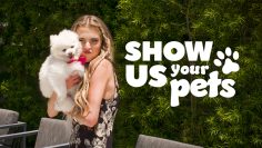 petcollective