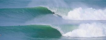 swamis
