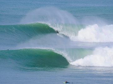 swamis