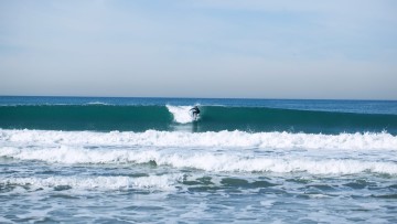 torrancebeach