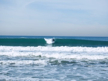 torrancebeach