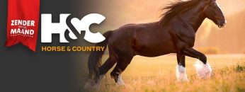 vhorsecountry-1950-880b