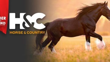vhorsecountry-1950-880b