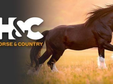 vhorsecountry-1950-880b