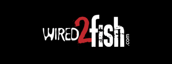 wired2fish
