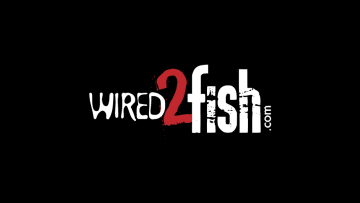 wired2fish