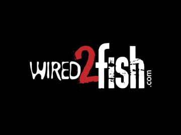 wired2fish